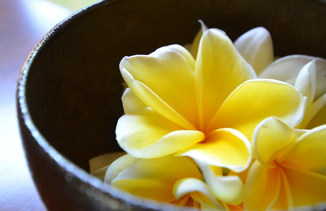The Ulin Villas And Spa - By Karaniya Experience - Chse Certified-1