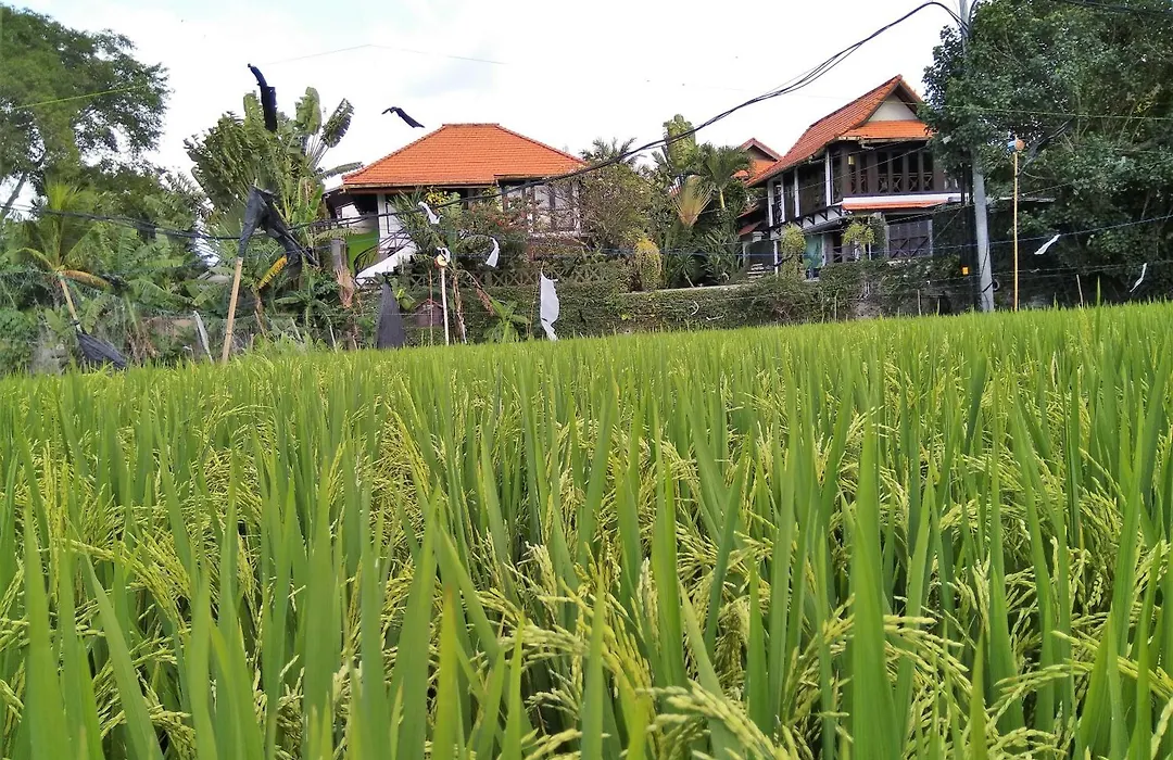Umah Watu Villas-1