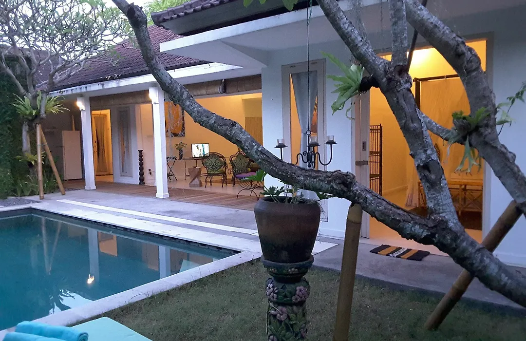 Villa Bamboo 7-1