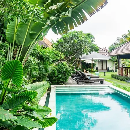 Spacious 4Br Private Estate W-Big Garden And Pool Central Seminyak-2