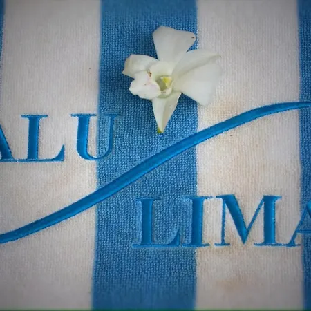 Villa Alu Lima-3
