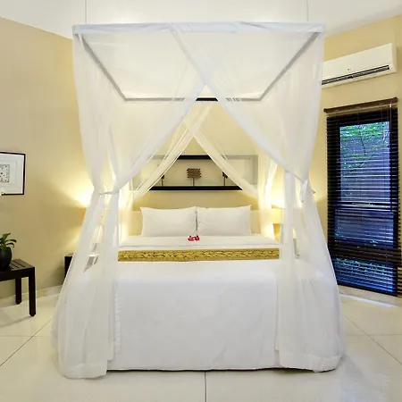 The Dusun-3