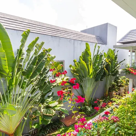 Villa Paloma - Chic Tropical Garden Villa With Outdoor Pool-3