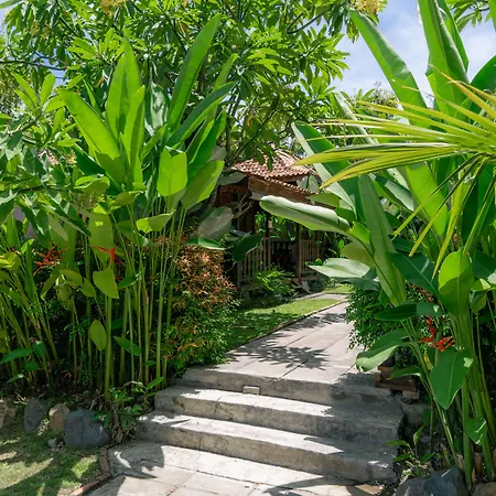 Bali Desa Asri-2