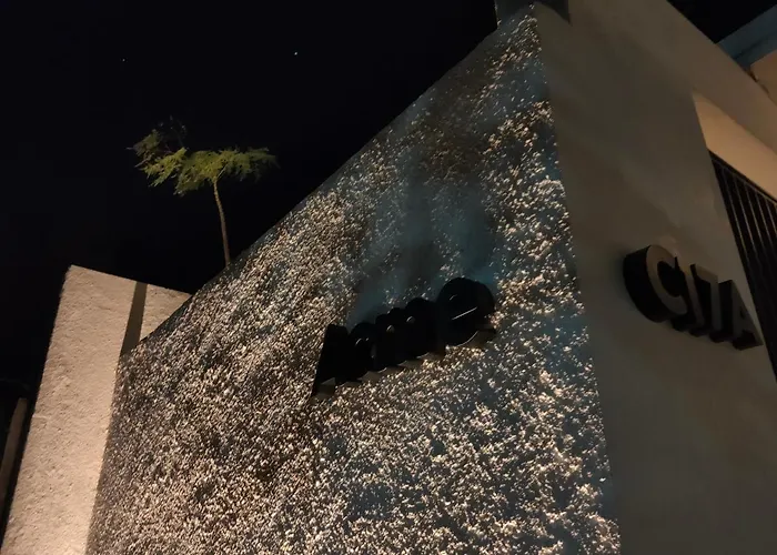 Huisdiervriedelijke Acme Villa Seminyak